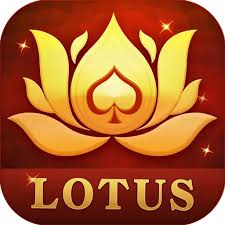 teen patti jodi download apk download